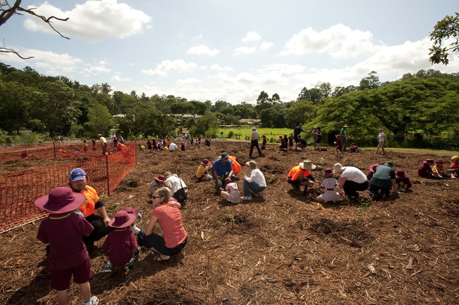 2 Million Trees community planting day